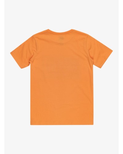 CAMISETA MANGA CORTA DAY TRIPPER SS YOUTH TANGERINE