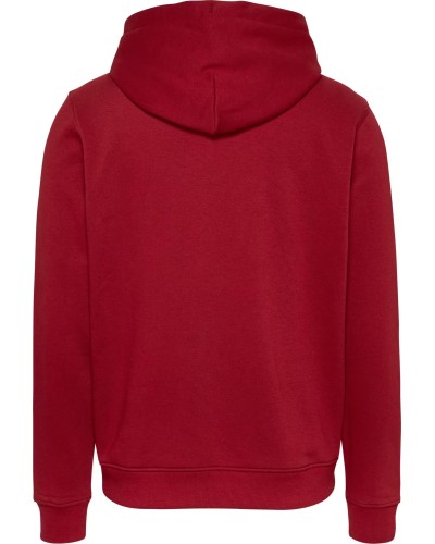 SUDADERA CAPUCHA TOMMY JEANS MAN REGULAR LINEAR GOLD HOOD EXT REGATTA RED