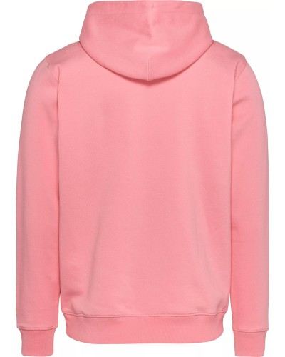 SUDADERA CAPUCHA TOMMY JEANS MAN REGULAR LINEAR LOGO HOODIE EXT TICKLED PINK