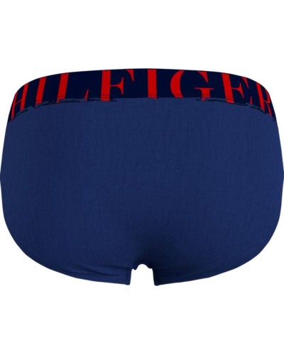 SLIP BRIEF BOLD BLUE 2013