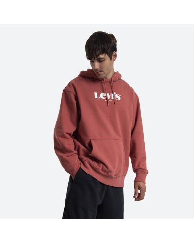 SUDADERA CAPUCHA T2 Relaxed Graphic Po Mv Logo Po HOODIE MARSALA