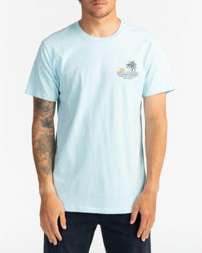 CAMISETA MANGA CORTA PALMAS SS 100% ALGODON COASTAL