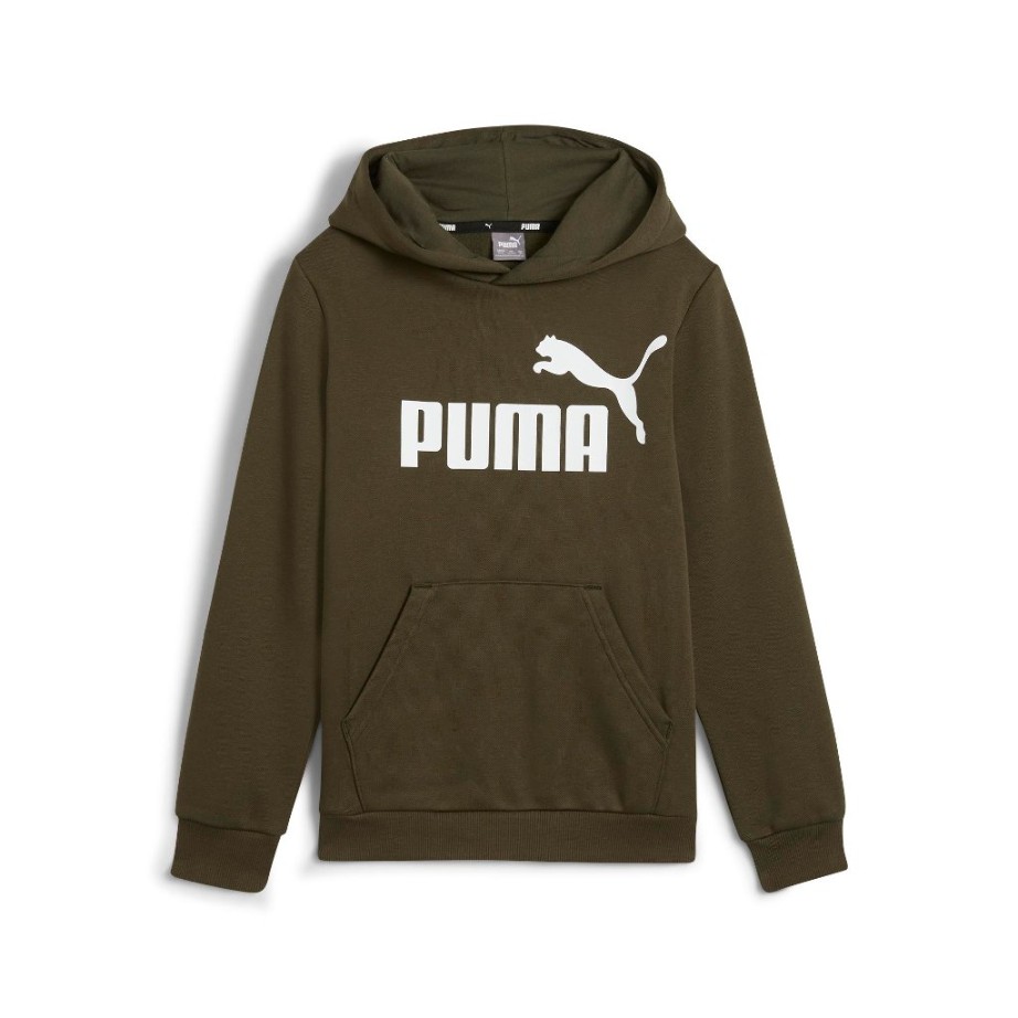 SUDADERA CAPUCHA ESSENTIALS BIG LOGO HOODIE VERDE